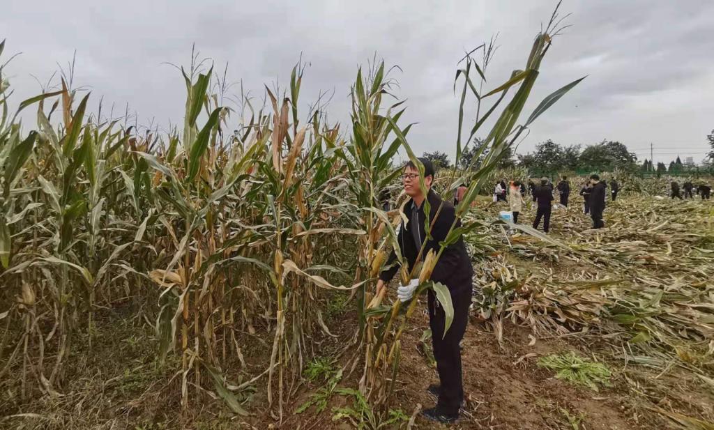 微信图片_20211015145022