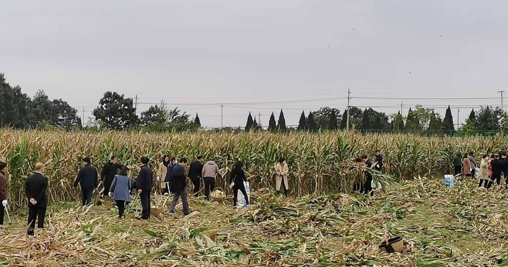 微信图片_20211015144719